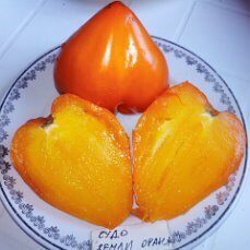 Чудо земли оранжевое